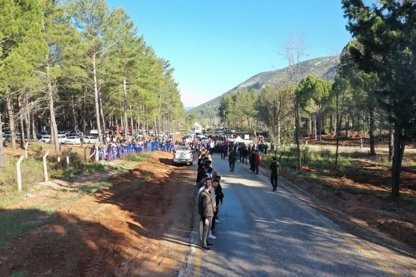 Muğla Orman Bölge Müdürlüğü