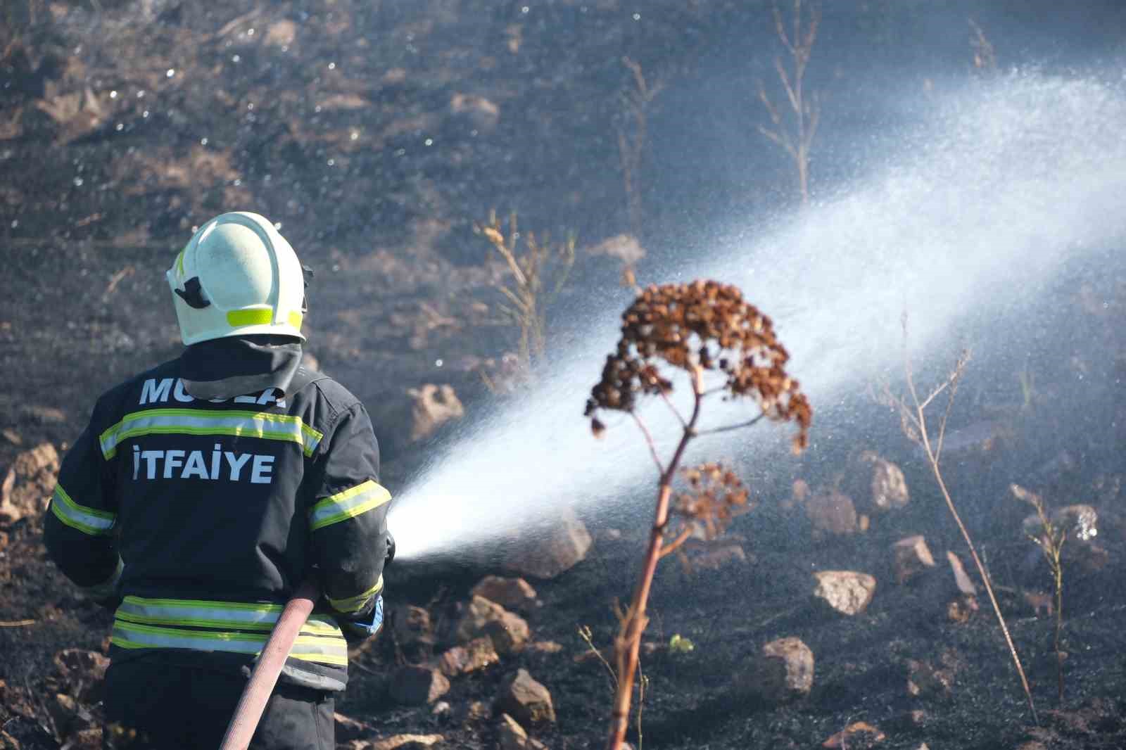 Bodrum’da otluk alanda çıkan yangın 5 dekarlık alanı küle çevirdi Muğla’nın Bodrum ilçesinde, Dereköy
