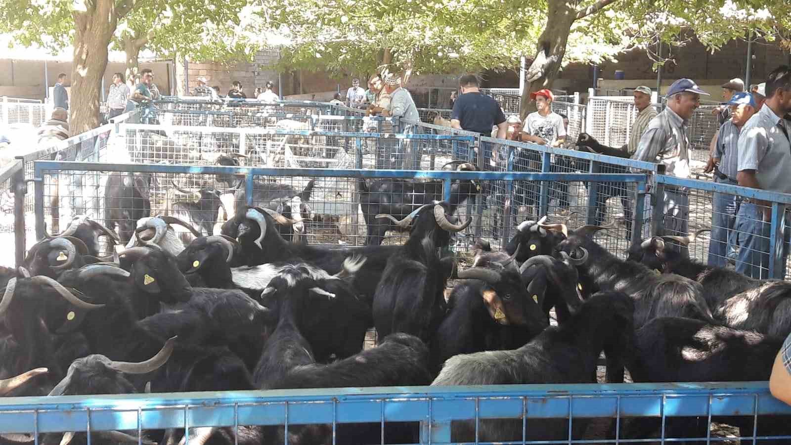 Muğla Büyükşehir Belediyesi, vatandaşların