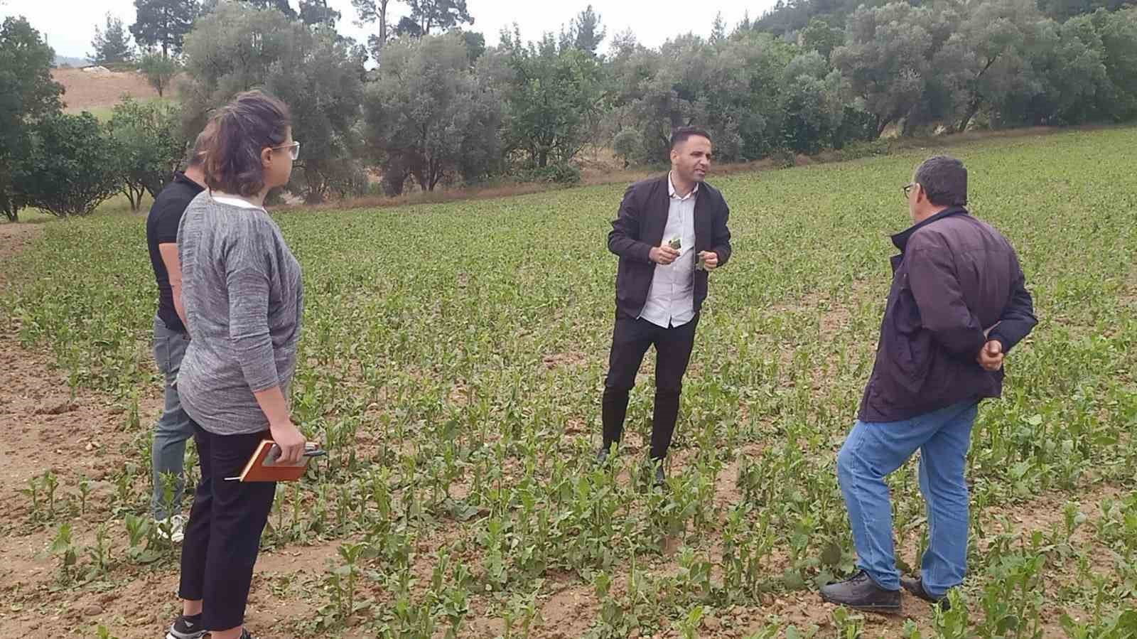 Büyükşehir’den dolu afetine karşı hızlı müdahale 29 Mayıs Cuma günü