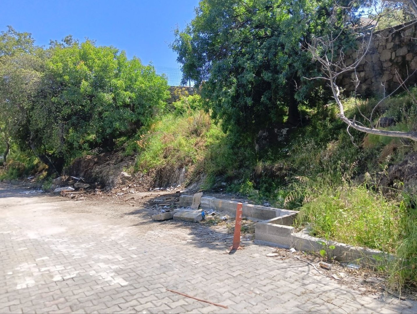 Zabıta ekipleri, Bodrum’da doğayı