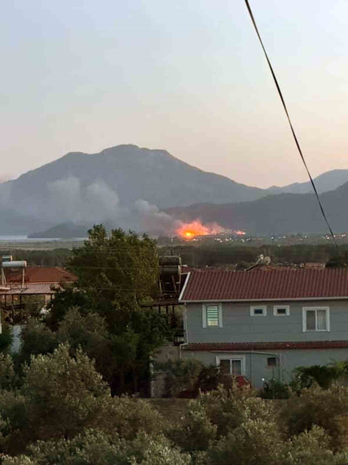 Köyceğiz’de sazlık alanda yangın çıktı Muğla’nın Köyceğiz ilçesine bağlı