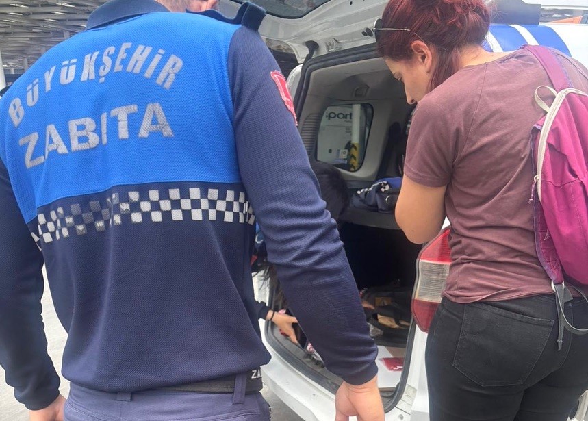 Muğla Büyükşehir Belediyesi Zabıta