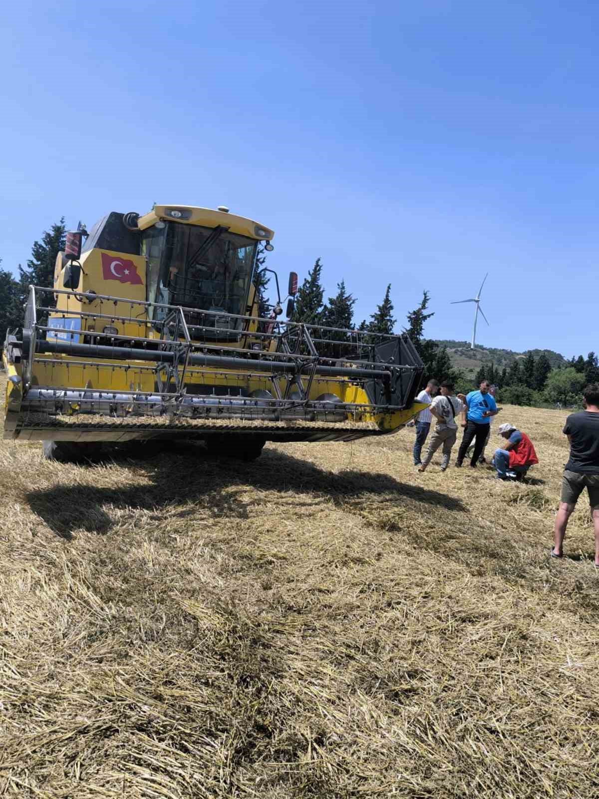 Muğla’da Biçerdöverle hububat hasadı başladı Muğla’da 2025 yılı biçerdöverle