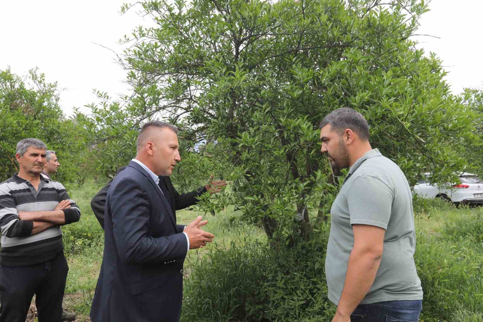 Zirai donun yaraları Büyükşehir’in desteğiyle sarıldı Muğla Büyükşehir Belediyesi, Şubat