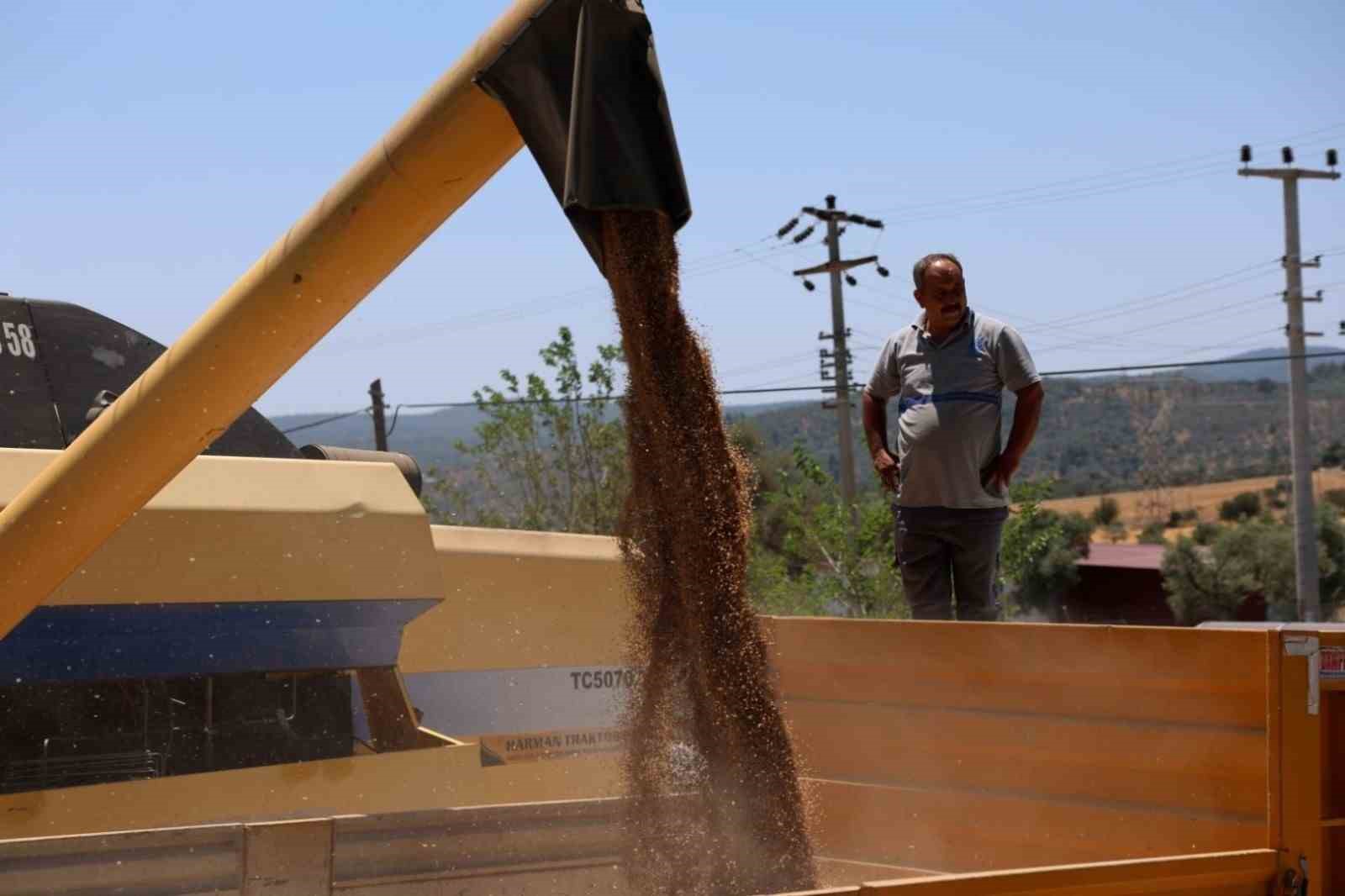 Bodrum Belediyesi sorumluluğunda bulunan