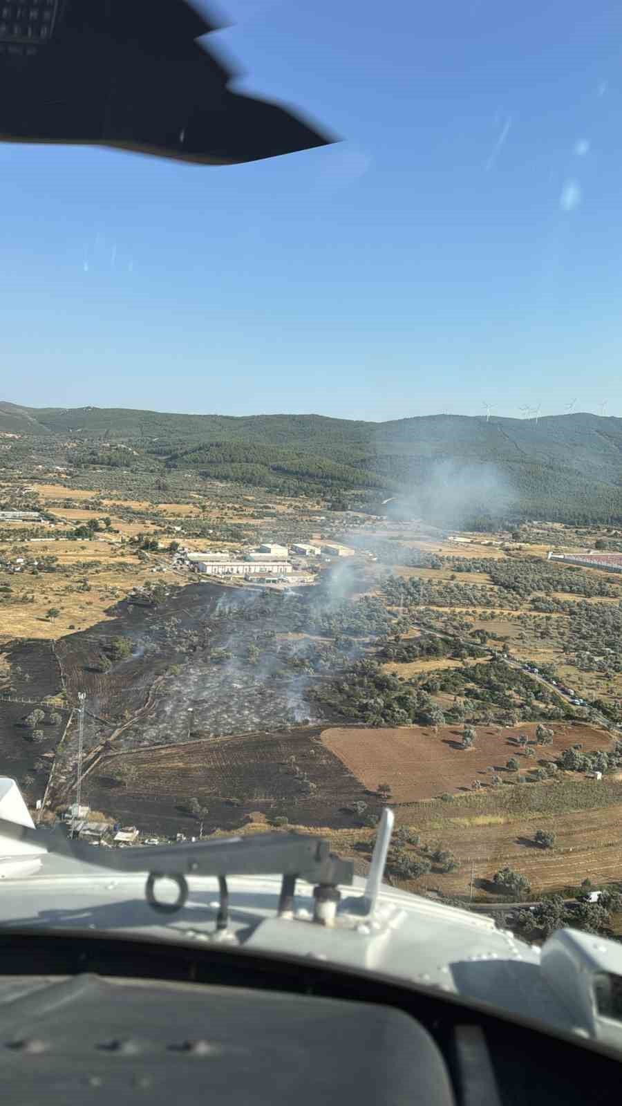 Muğla’nın Bodrum ilçesinde zirai