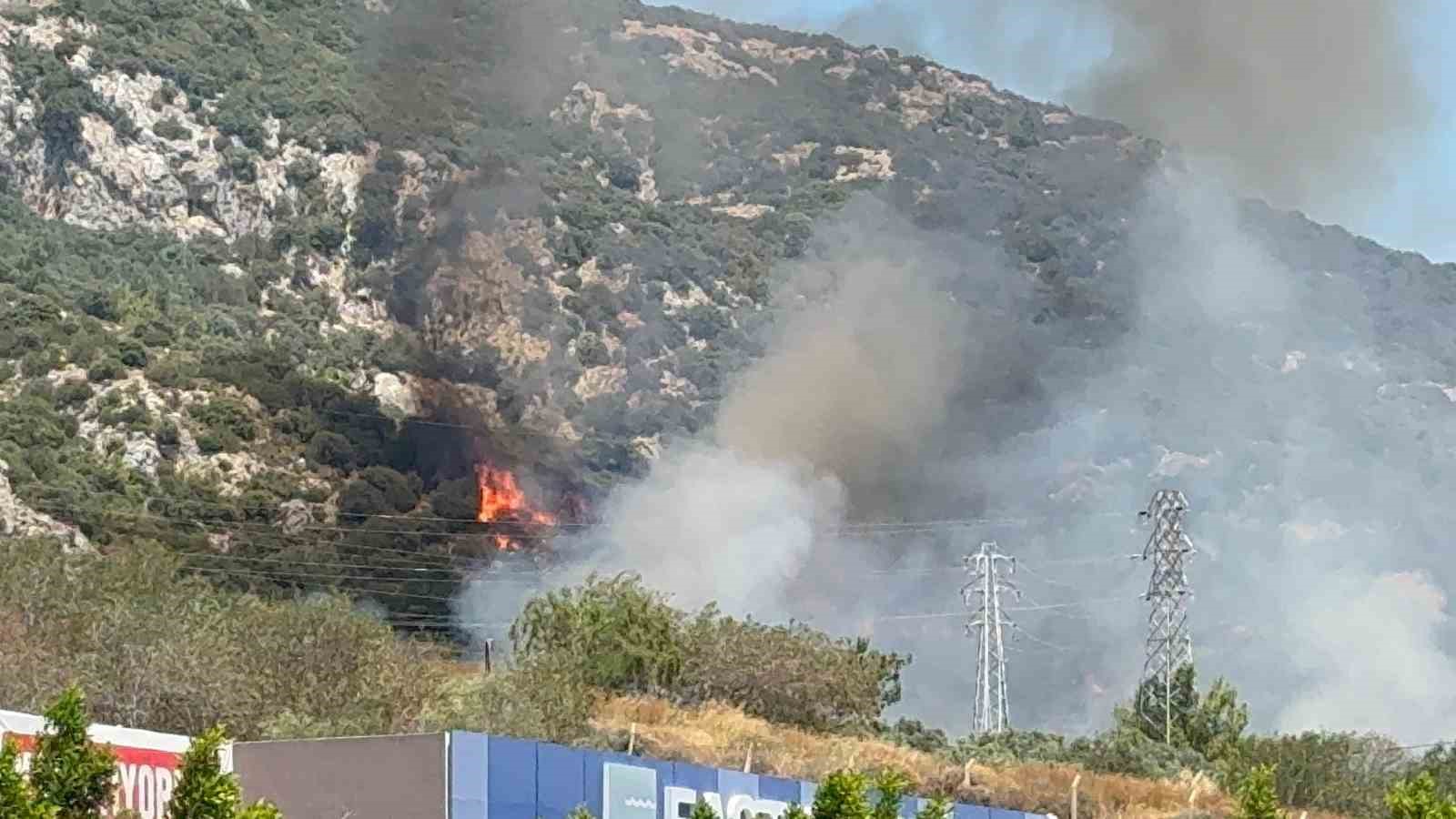 Muğla’nın Bodrum ilçesinde makilik