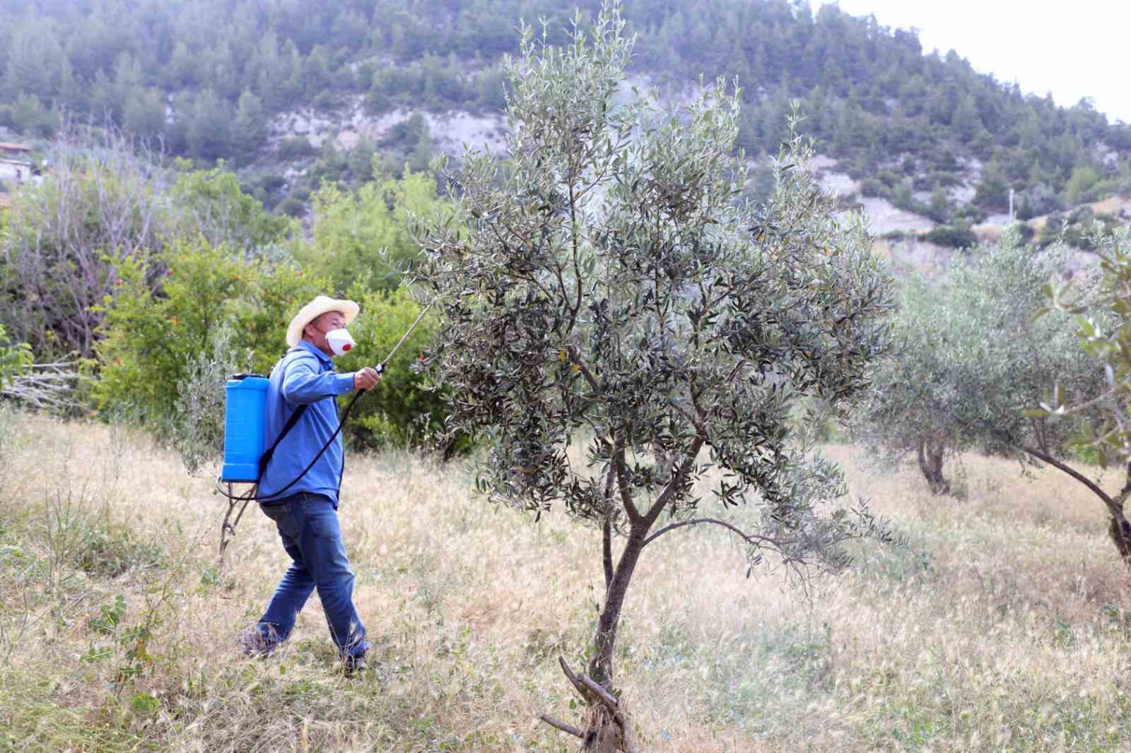 Muğla Büyükşehir Belediyesi, Menteşe’nin