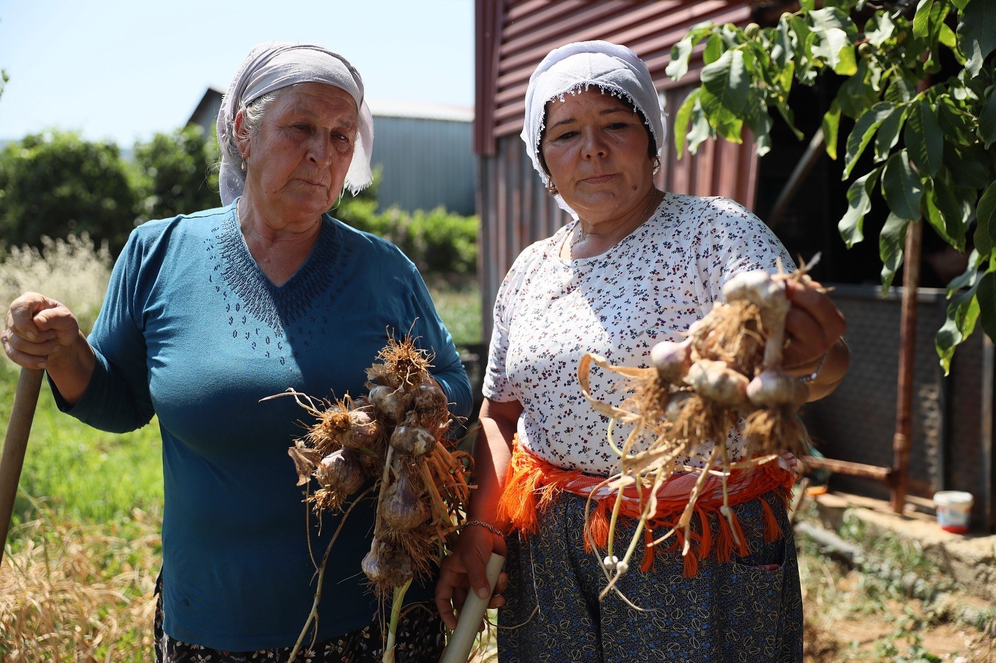 Muğla’nın Ula ilçesinde, bölgeye