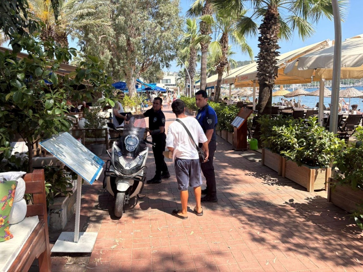 Bodrum’da zabıta ekipleri, dilencilere