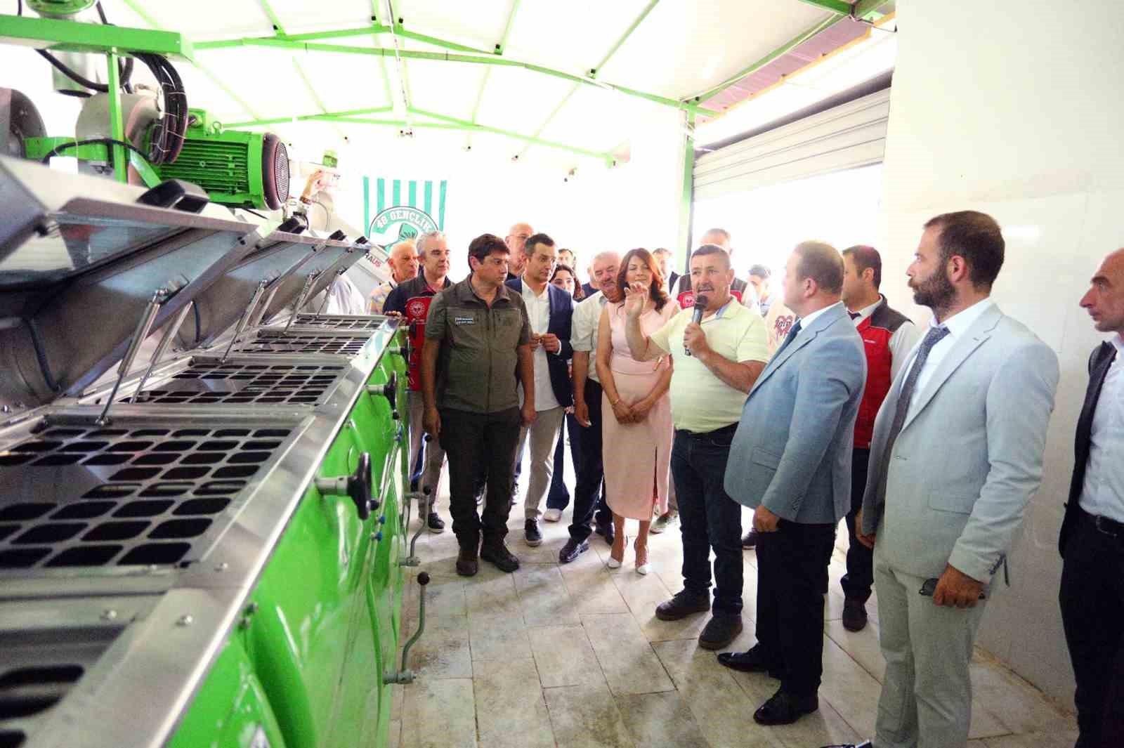 Göktepe’de Zeytinyağı etkinliği Muğla’nın Menteşe ilçesi Göktepe