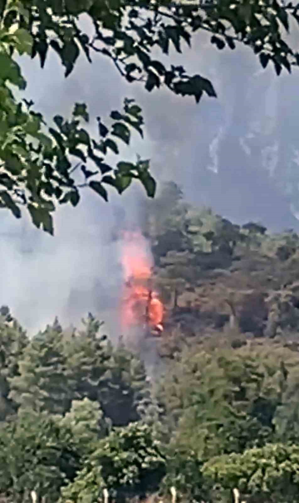 Köyceğiz’de orman yangını başladı Muğla’nın Köyceğiz ilçesinde ormanlık