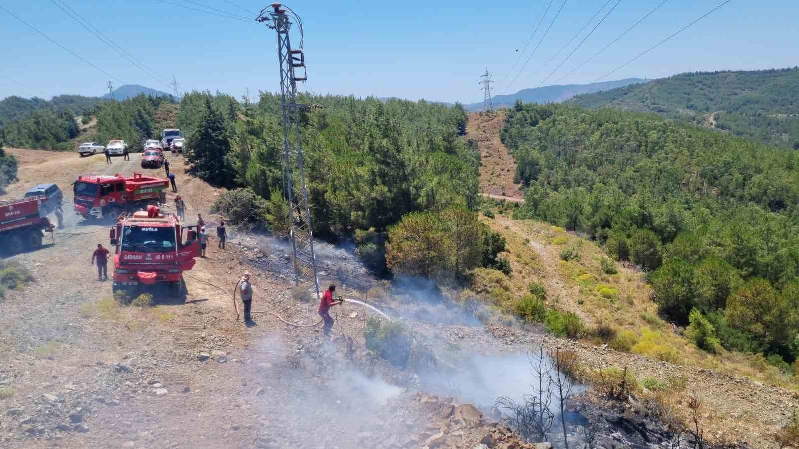 Muğla’nın Marmaris ilçesinde çıkan