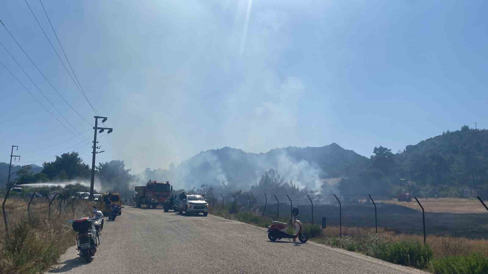 Muğla’nın Marmaris ilçesinde otluk