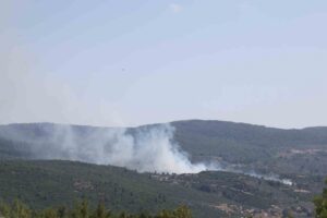 Menteşe’de çıkan yangın kontrol altına alındı