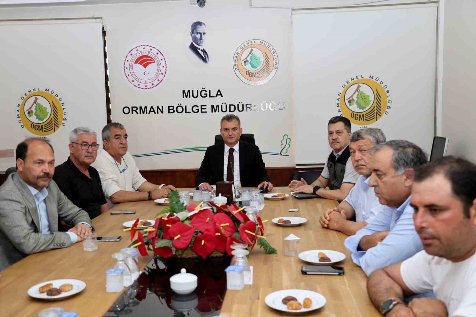 Muğla’da orman üretim işlerinde
