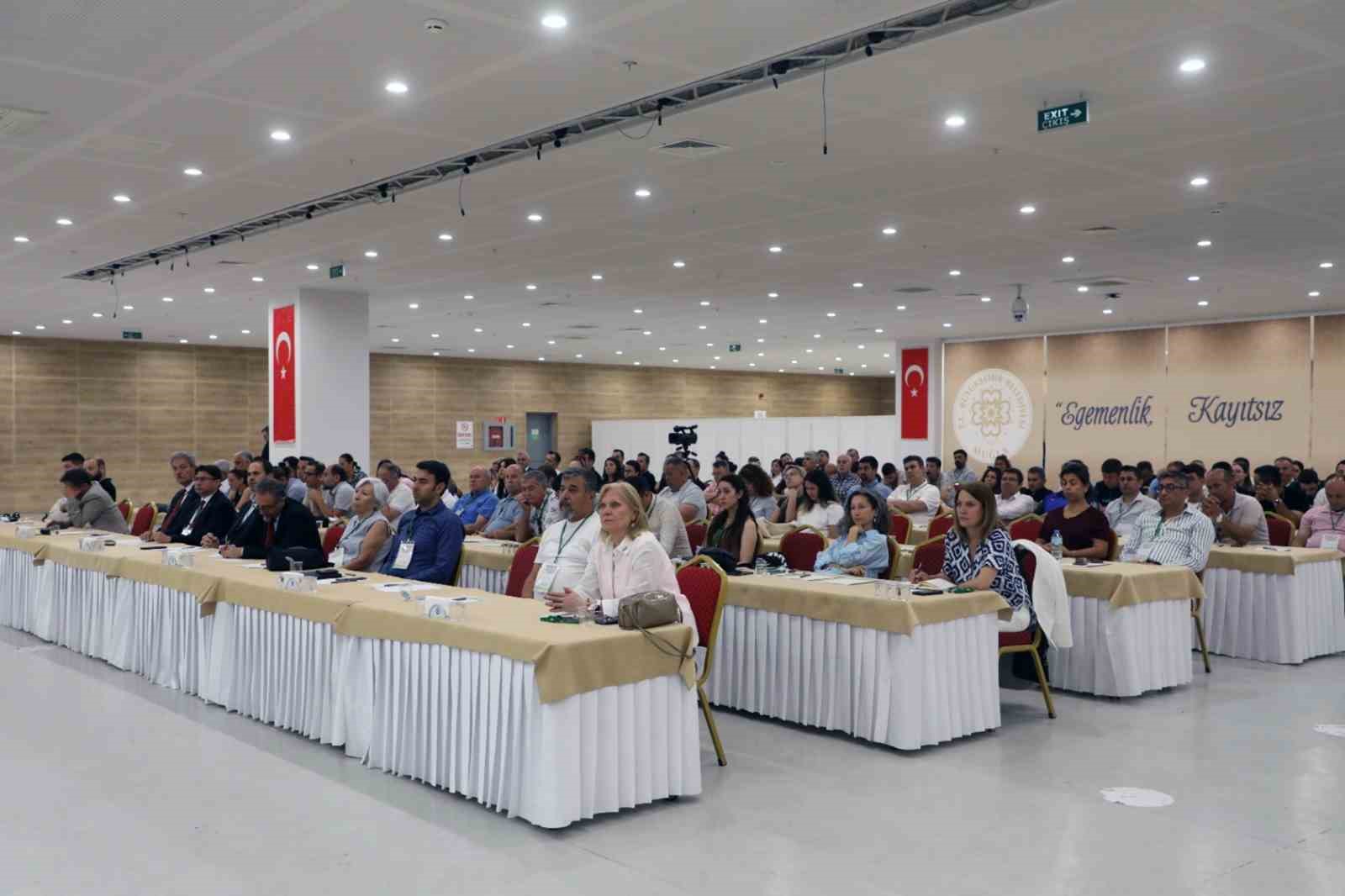 Muğla’da şehir merkezlerine kadar inen yaban domuzlarına çare aranıyor Muğla Büyükşehir Belediyesi ev