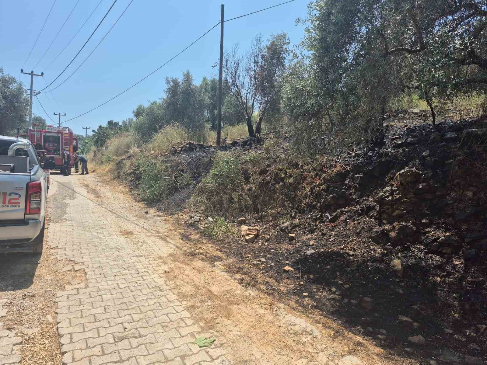 Muğla’nın Ula ilçesine bağlı