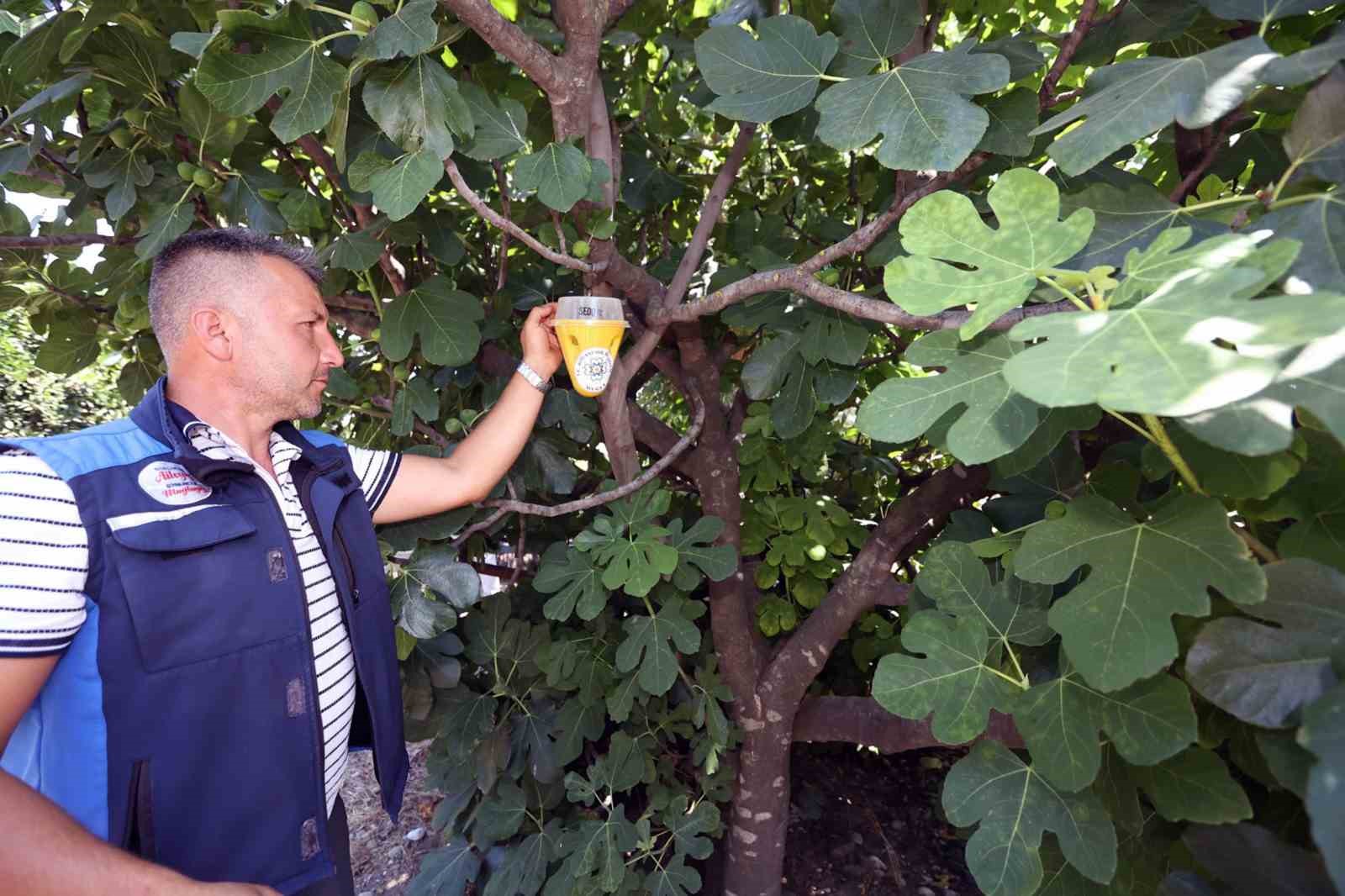 Muğla Büyükşehir Belediyesi, Akdeniz
