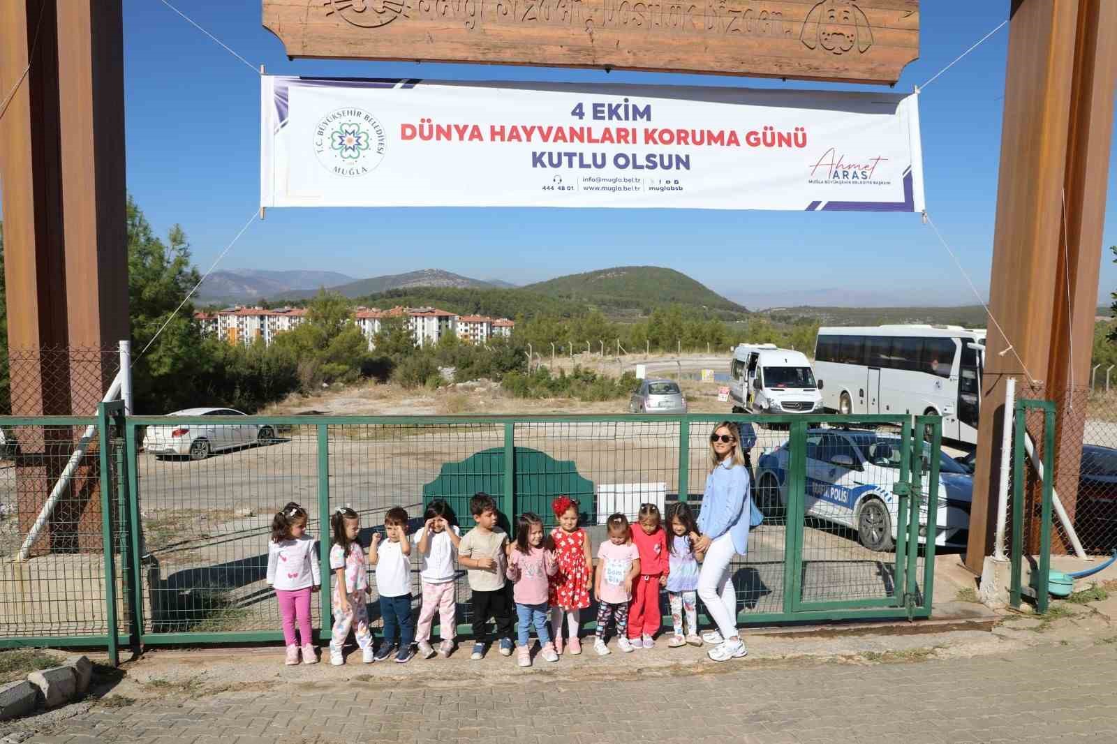 Büyükşehir Geçici Hayvan Bakımevi’nden 3 bin 779 can dosta yeni yuva Muğla Büyükşehir Belediyesi Geçici