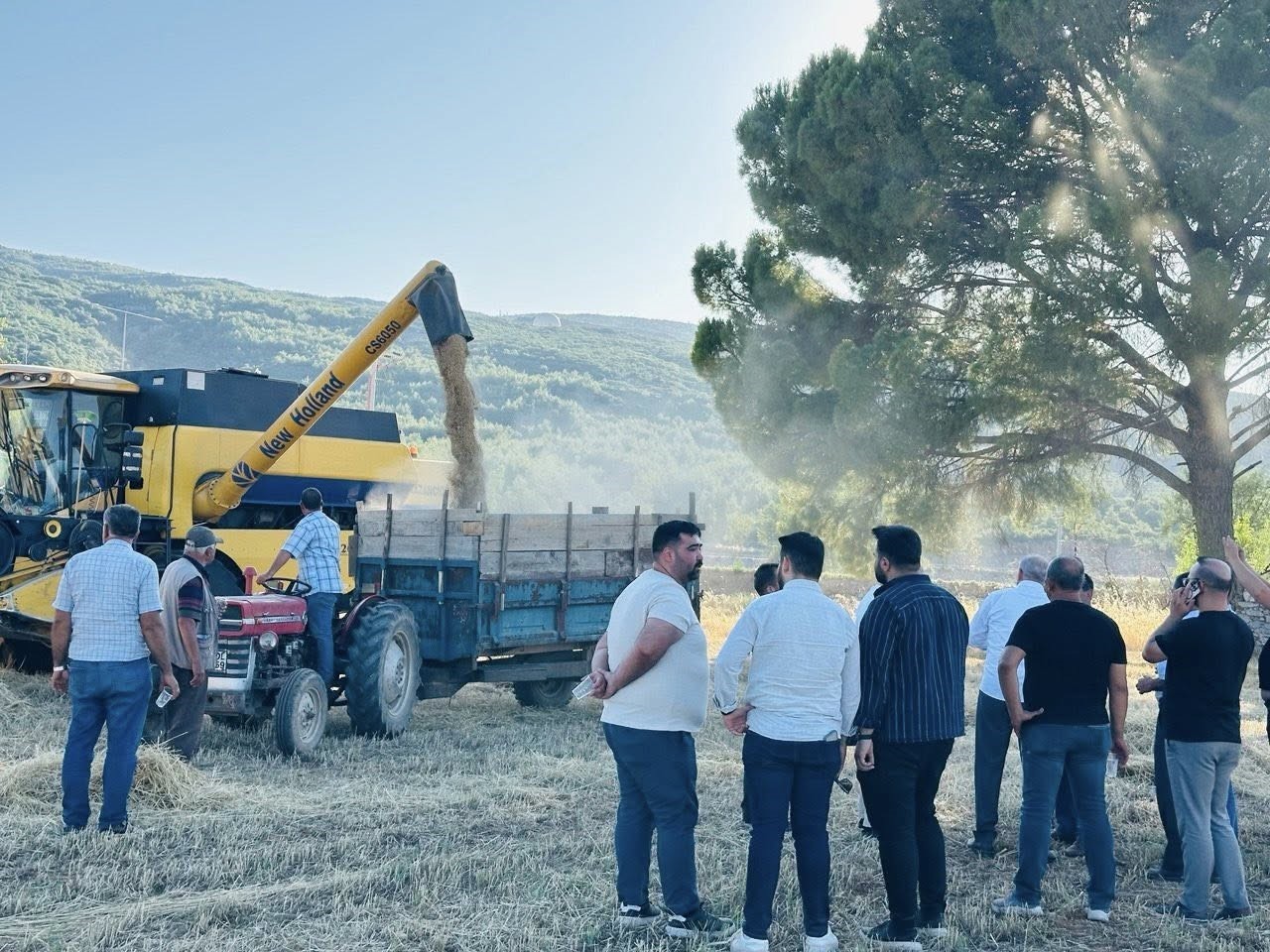 Muğla’nın Menteşe ilçesinde İlçe