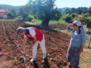 Menteşe’de tarım ekiplerinden ürün kontrolü ve çiftçi ziyareti gerçekleştirildi