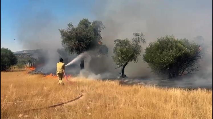 Milas Pınarcık yangını kontrol altına alındı Muğla’nın Milas ilçesine bağlı