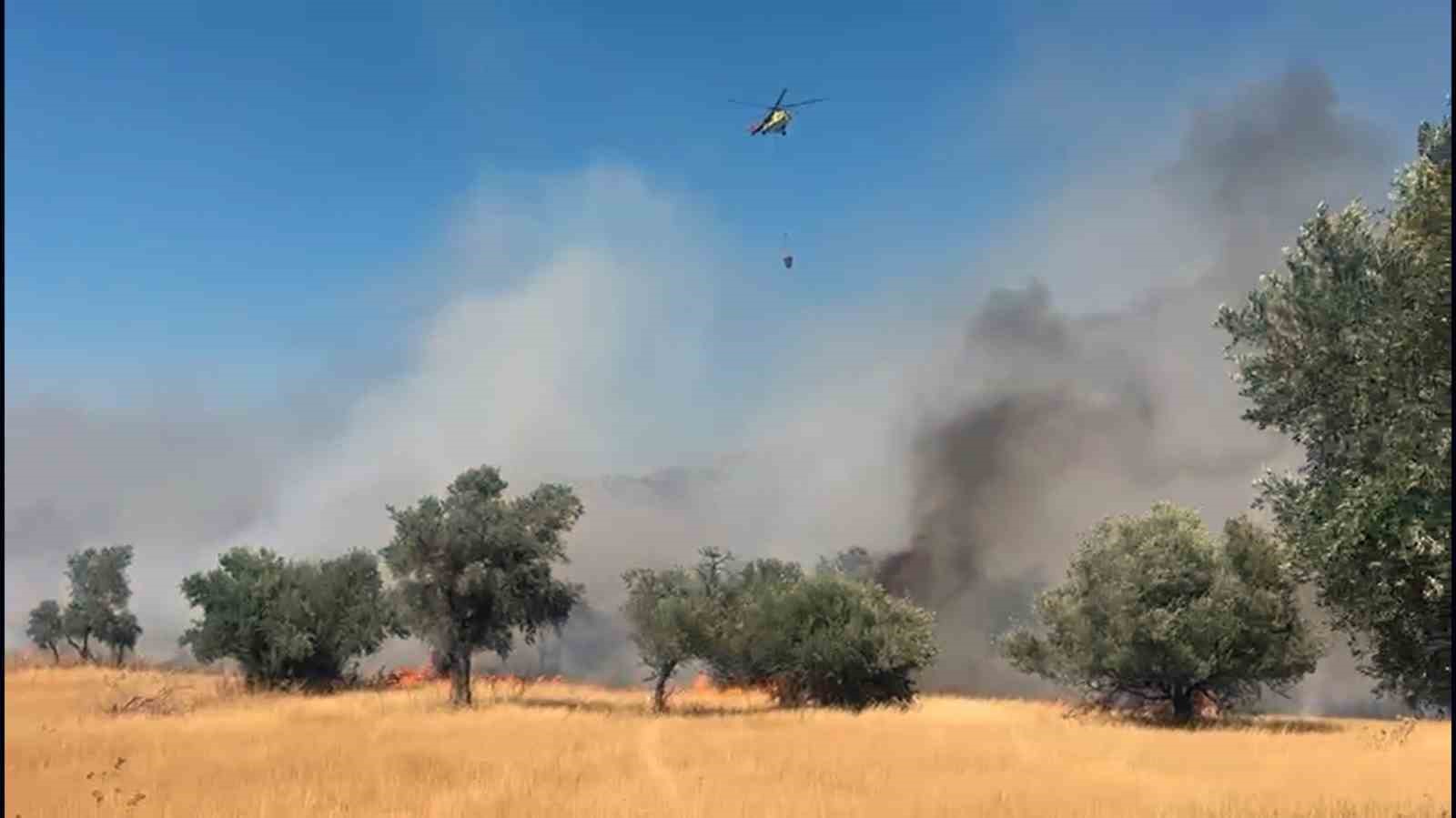 Milas Pınarcık yangınına 5 helikopter 4 uçak müdahale ediyor Muğla’nın Milas ilçesine bağlı