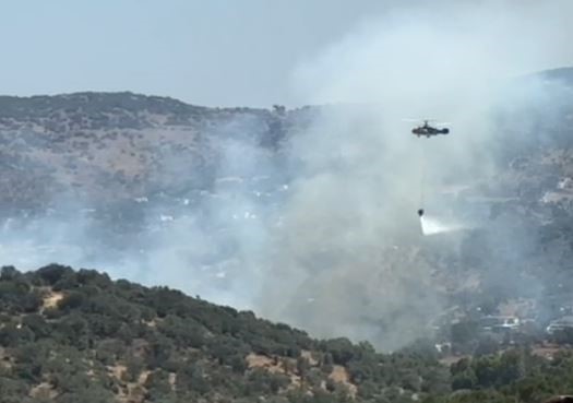 Muğla’nın Milas ilçesindeki bir
