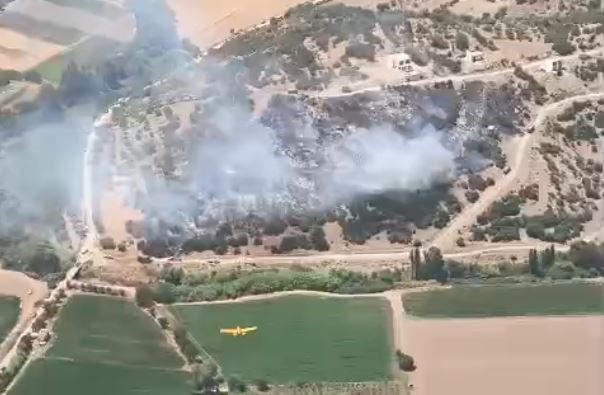 Muğla’nın Milas ilçesindeki bir