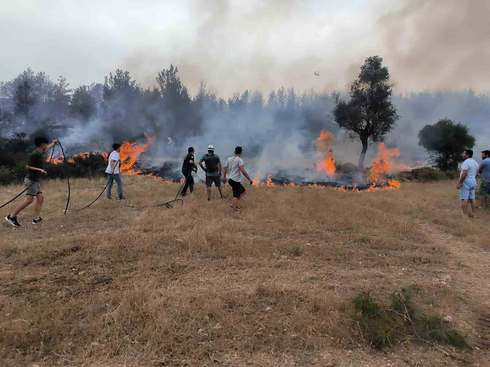 Muğla Büyükşehir Belediyesi il