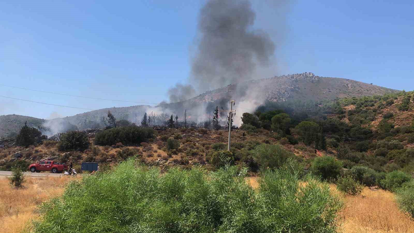 Muğla’nın Datça ilçesinde makilik