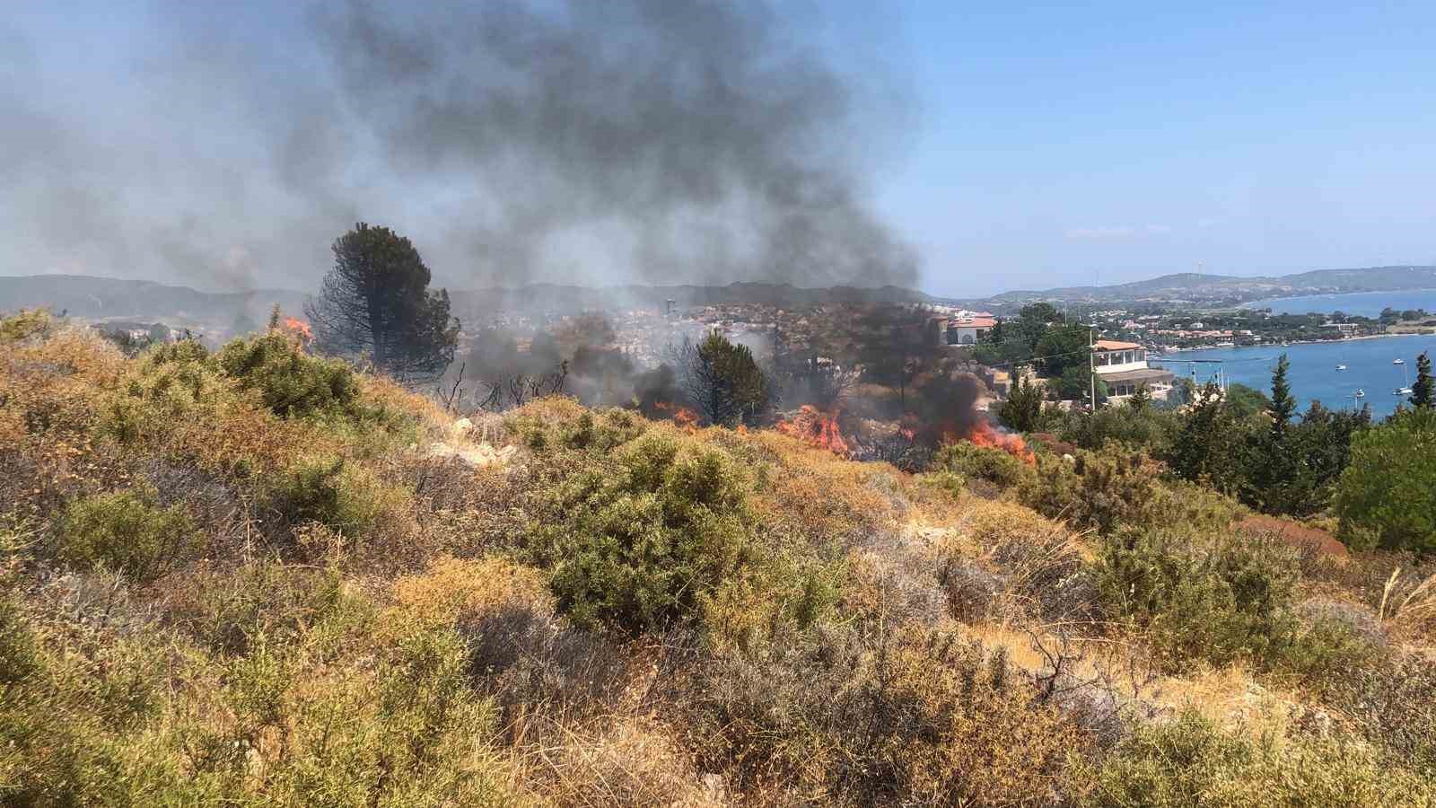 Muğla’nın Datça ilçesinde makilik
