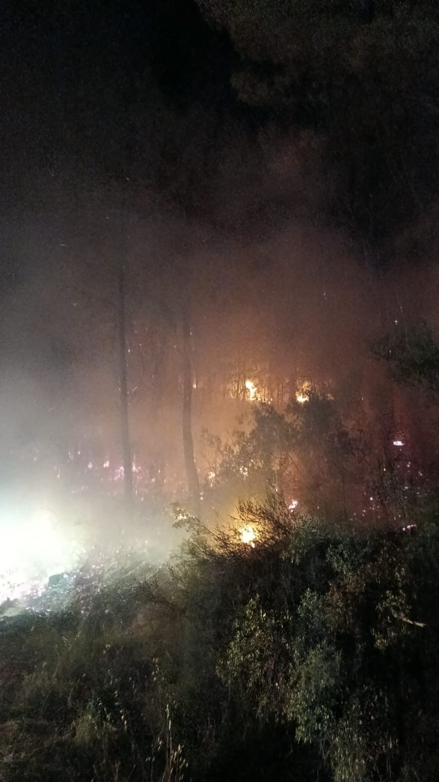 Muğla’nın Köyceğiz ilçesi Beyobası