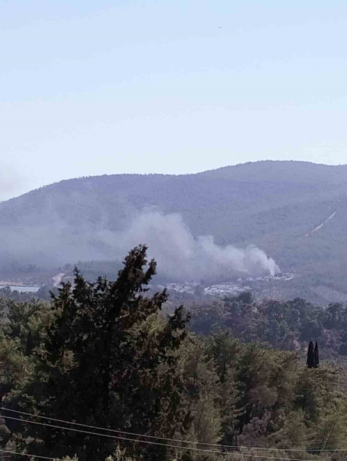 Milas Kazıklı’da ormanlık alanın