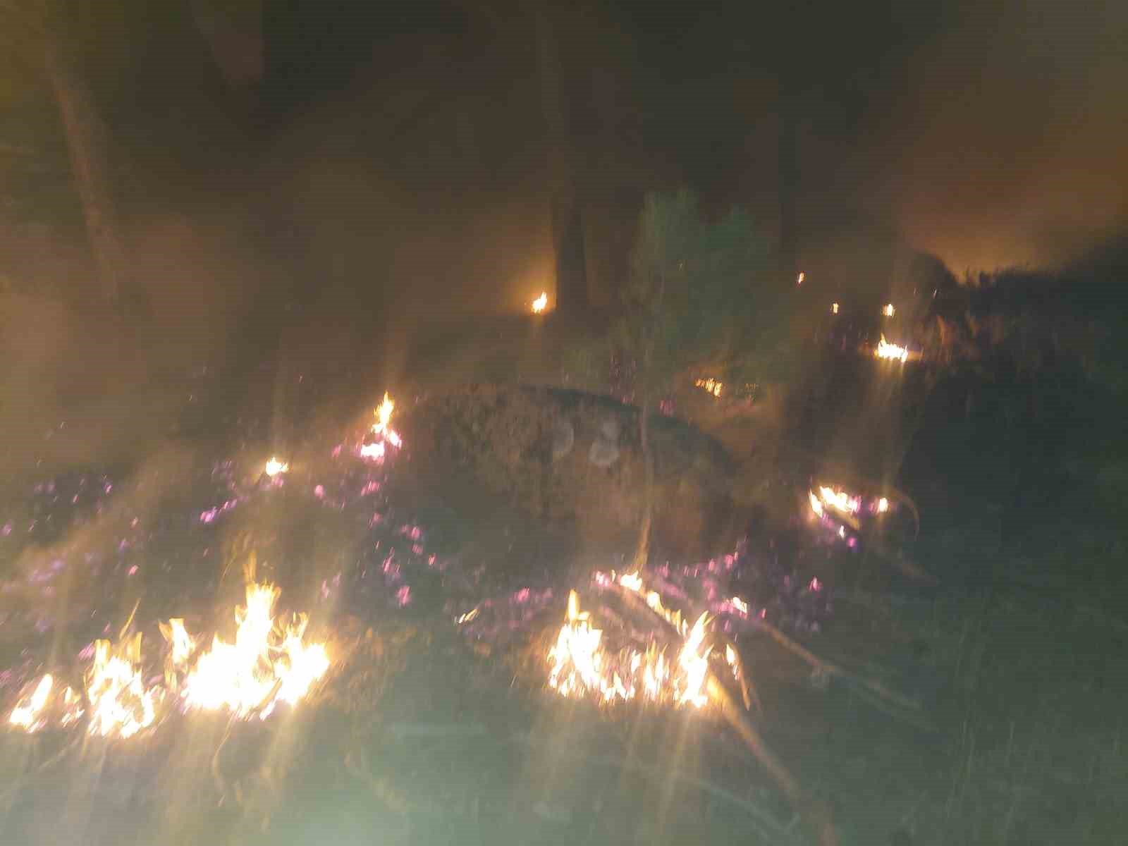 Muğla’nın Yatağan ilçesinde çıkan