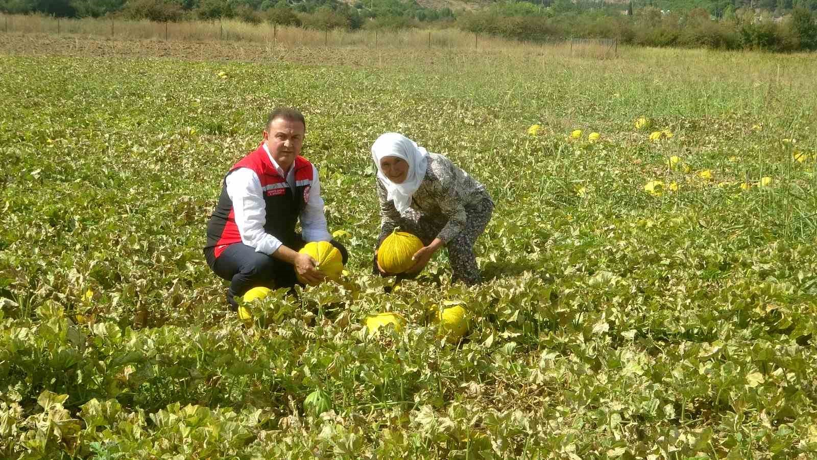 Dünyanının çıkılan değil, inilen tek yaylası Muğla’nın Menteşe ilçesindeki Karabağlar