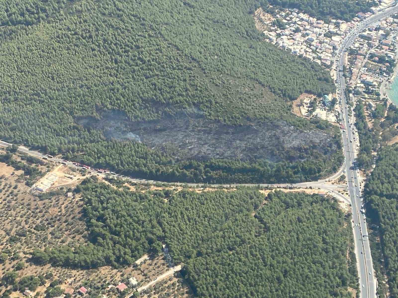 Bodrum orman yangını kontrol altına alındı Muğla’nın Bodrum ilçesinde çıkan