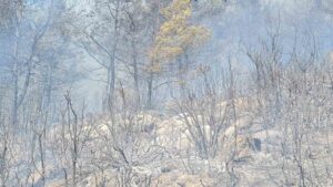 Muğla’nın Bodrum ilçesinde çıkan orman yangınına ekiplerin havadan ve karadan