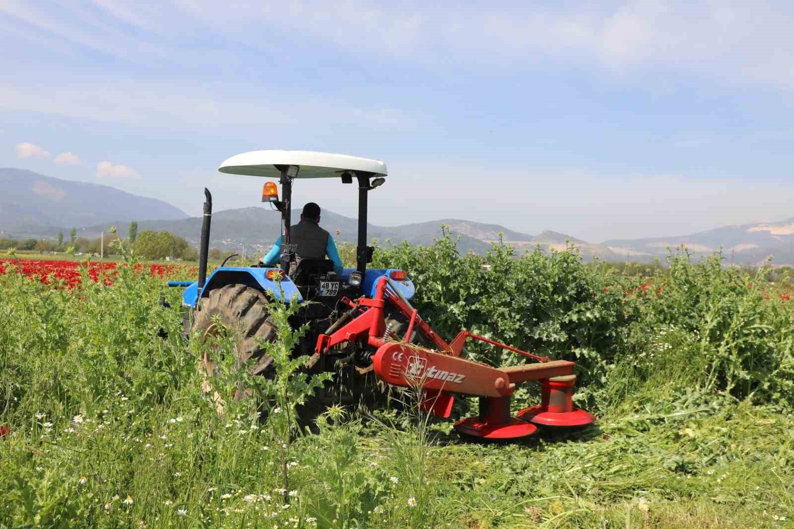 Muğla Büyükşehir Belediyesi, kırsal kalkınmayı desteklemek ve üreticilerin en büyük