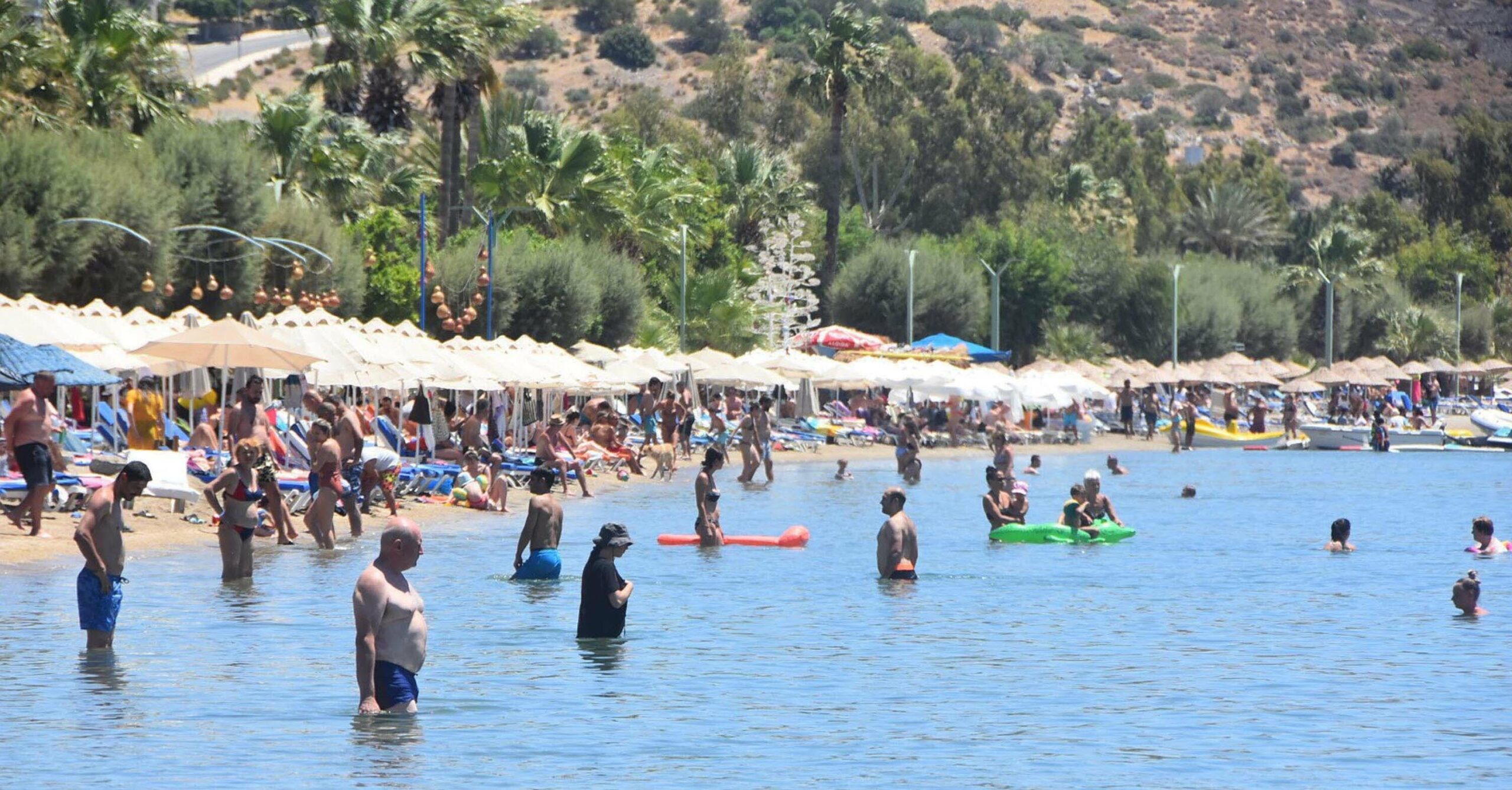 Fırat AKAY/BODRUM (Muğla), (DHA)-