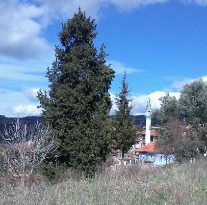 Muğla’nın Menteşe ilçesine bağlı