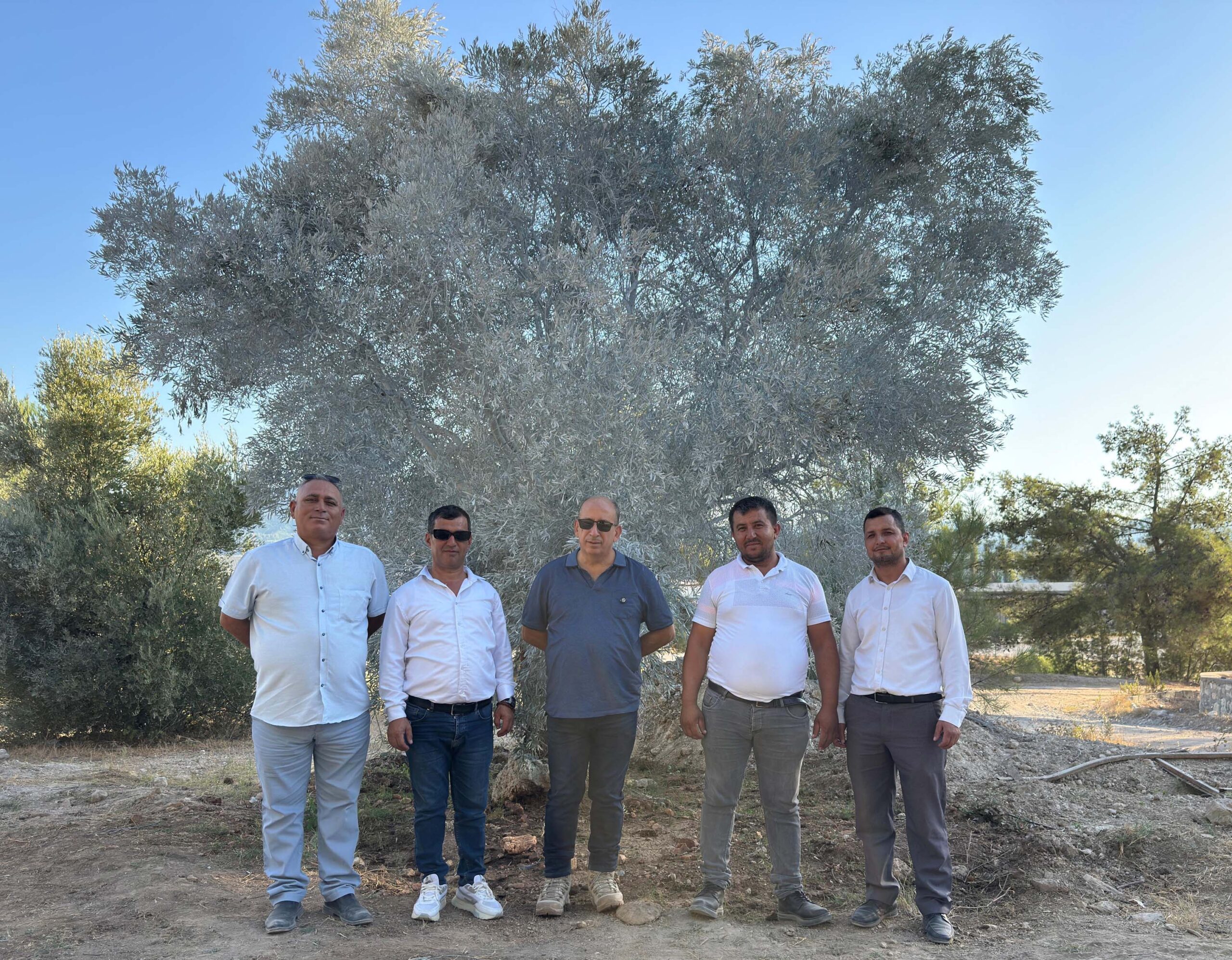 MİLAS (Muğla), (DHA)-MUĞLA'nın Milas