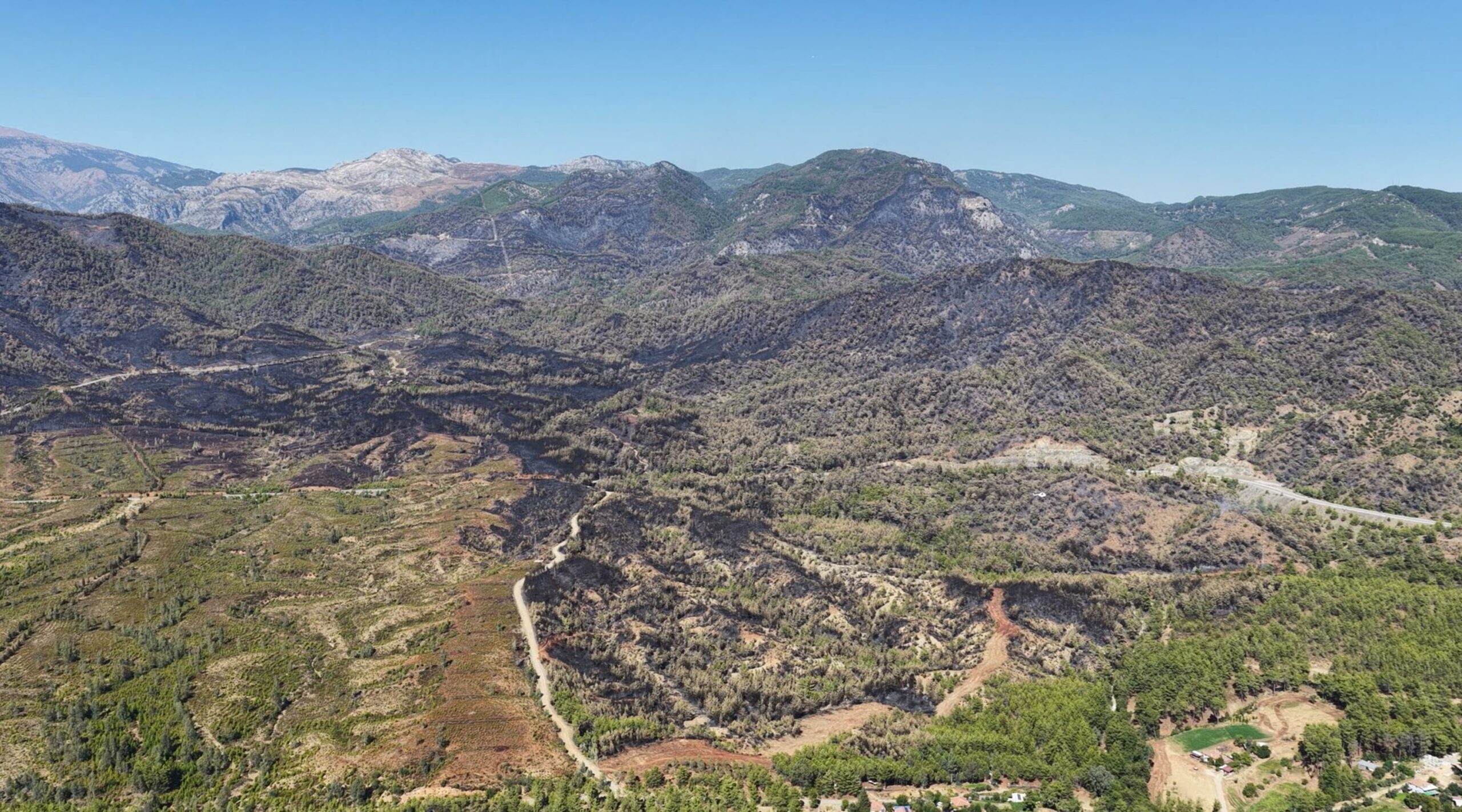 Cavit AKGÜN/MUĞLA, (DHA)- MUĞLA'nın Köyceğiz ilçesinde ekiplerin havadan ve karadan