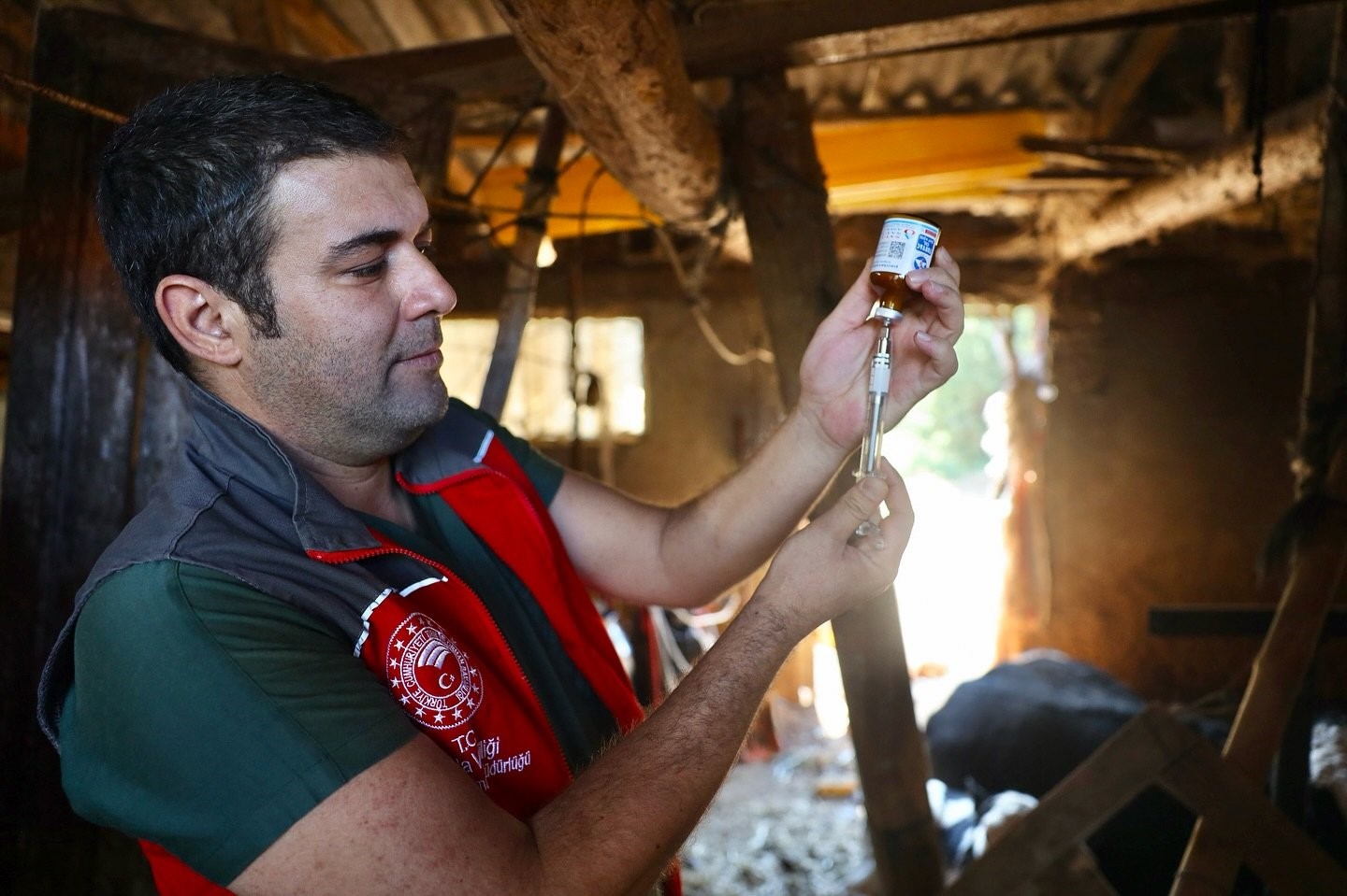 Muğla genelinde şap hastalığına karşı yürütülen aşılama ve bilgilendirme çalışmaları