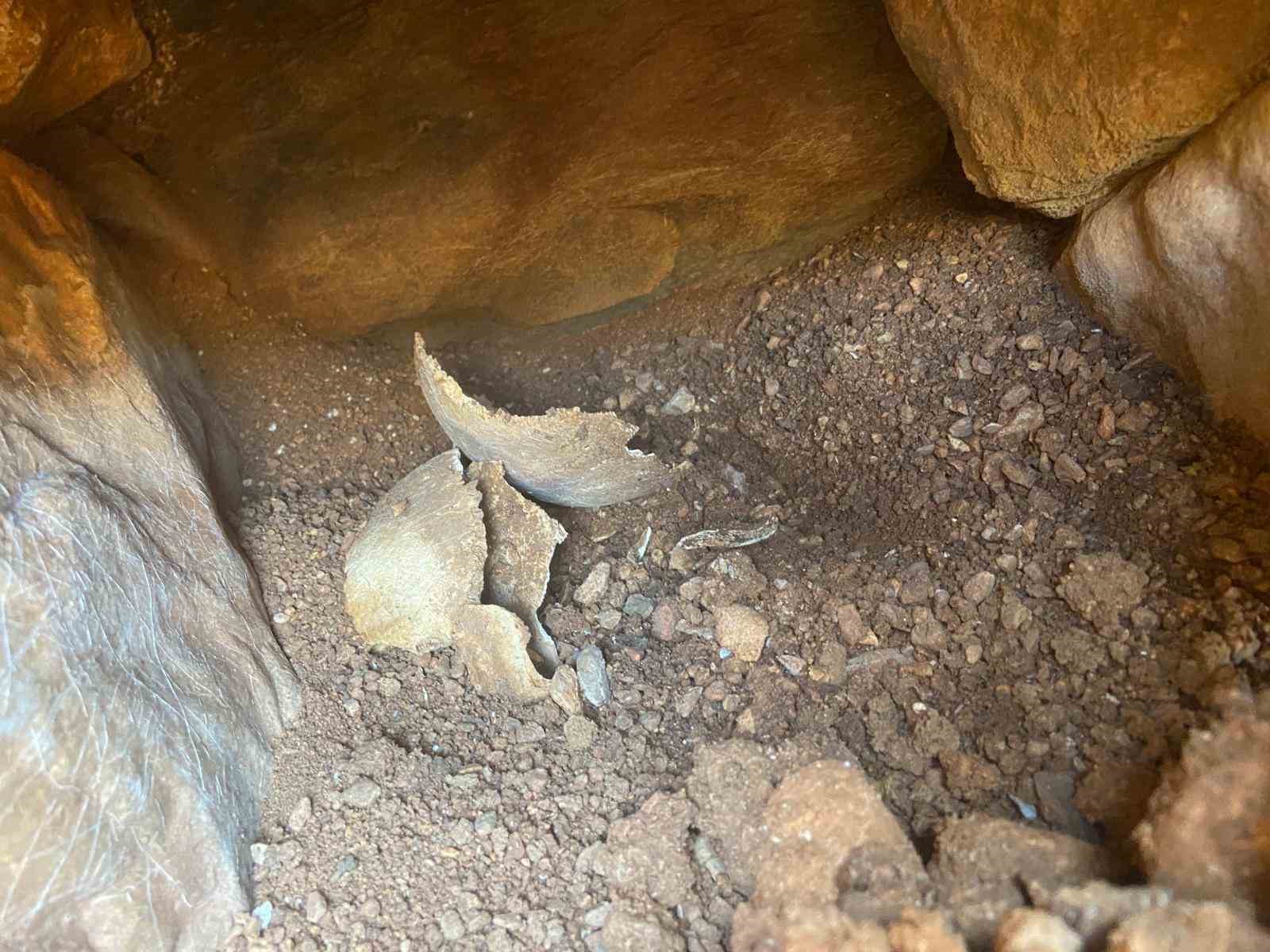 Menteşe ilçesinde sulama deposu çalışmaları sırasında yapılan kazılarda tarihi eseler