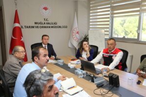 Muğla’daki zeytin sektörü paydaşları, zeytin rekoltesi tahmini için bir araya