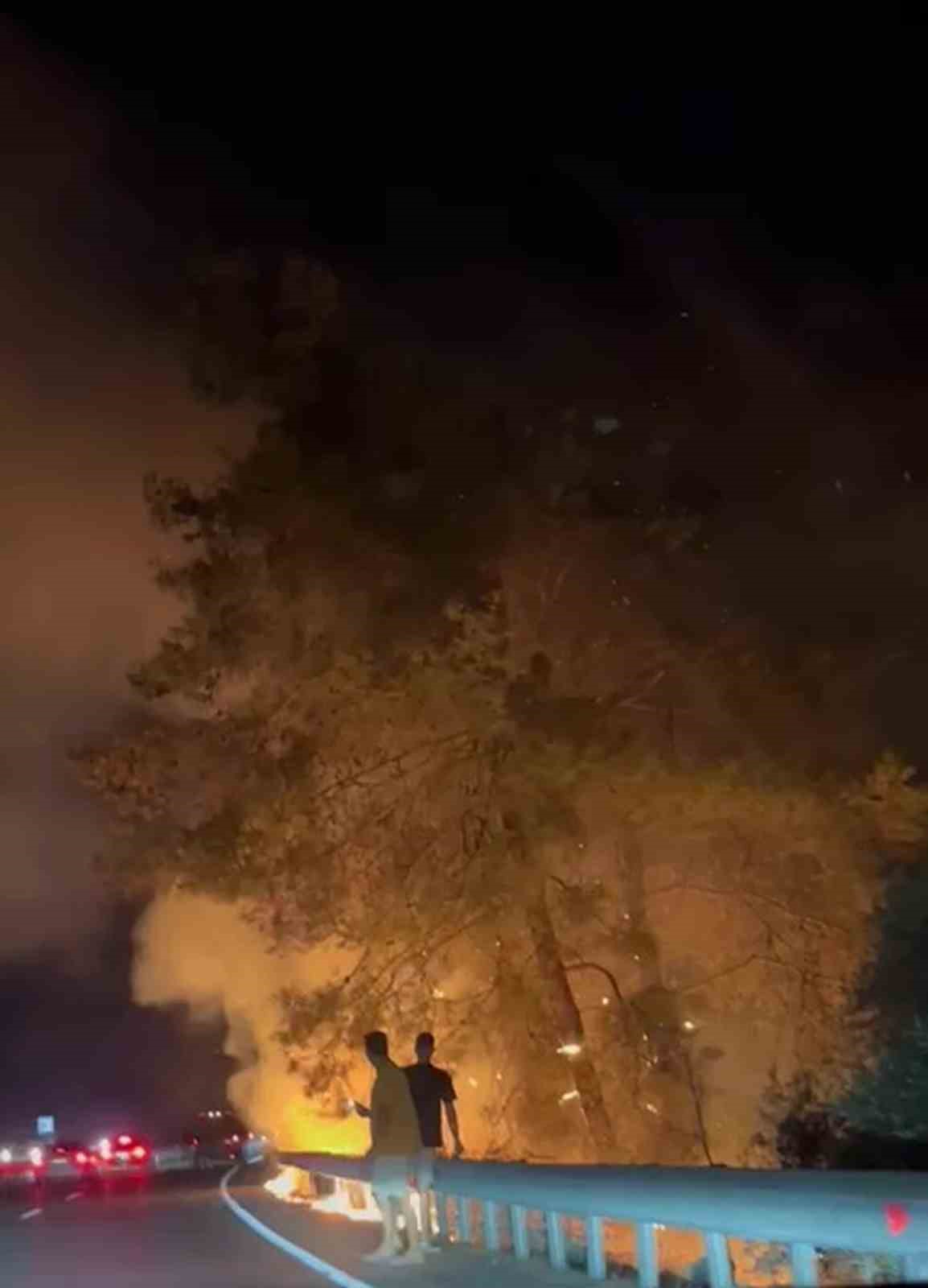 Sakar rampasında orman yangını Muğla Ula ilçesi Sakar