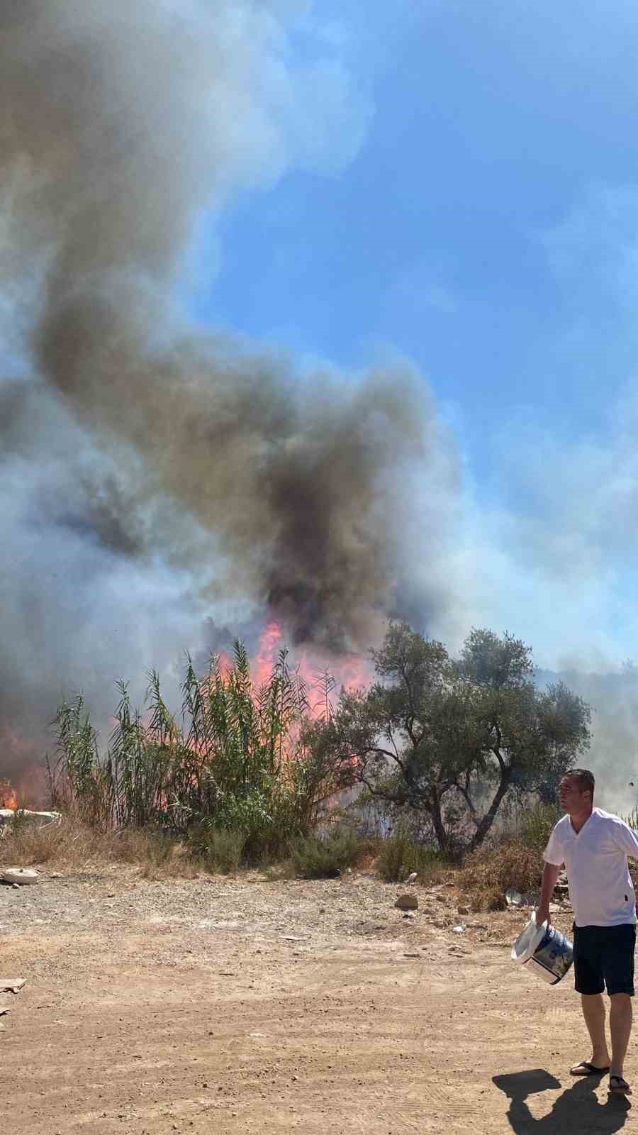 Sazlık alanda çıkan yangın büyümeden söndürüldü Muğla’nın Bodrum ilçesinde yol kenarında bulunan sazlık alanda çıkan ve